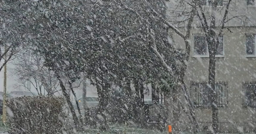 video ger lapovita si ninsori in bucuresti cum va fi vremea in restul tarii 67a48d93230ba