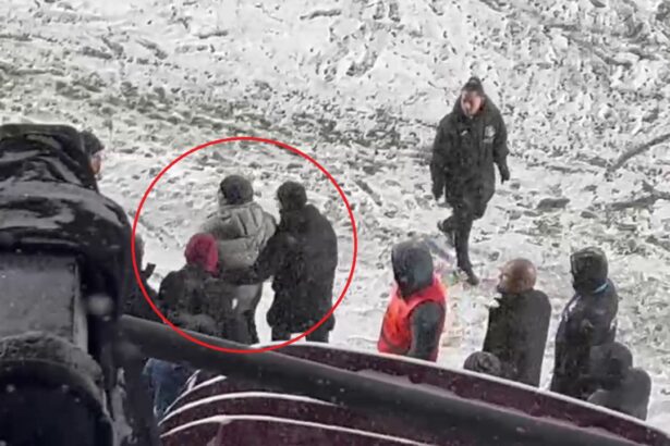 video marius sumudica asaltat cu bulgari de zapada pe giulesti ce gest extrem voia sa faca antrenorul 67b3884e5d8af
