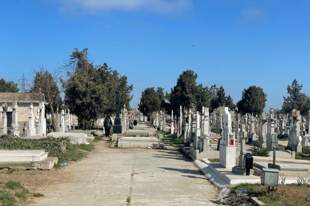 video talharie intr un cimitir din constanta in plina zi autorul a fost incatusat 67c1c0a349cf1