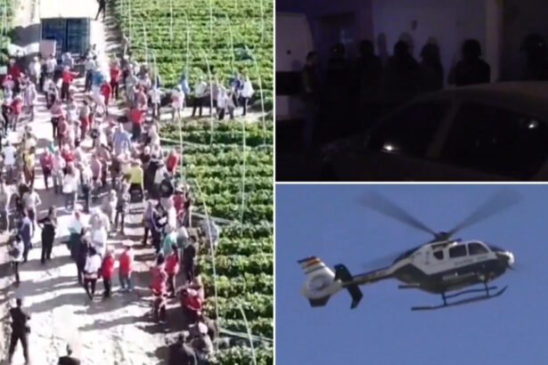 video zeci de romani sclavi pe o plantatie din spania au fost exploatati de alti romani pana cand au fost eliberati de politie 67a5b47a91f35