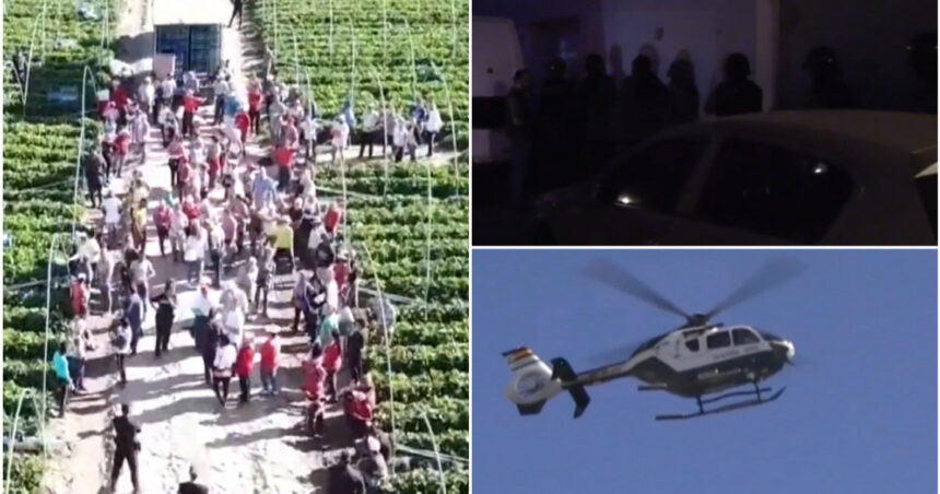 video zeci de romani sclavi pe o plantatie din spania au fost exploatati de alti romani pana cand au fost eliberati de politie 67a5b47a91f35