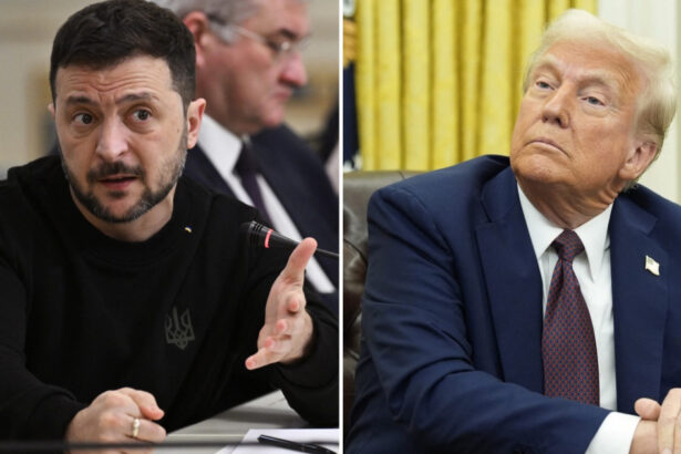 zelenski spune ca ucraina va da la schimb metale rare pentru arme americane asteptam echipa din sua 67a2849dc263a