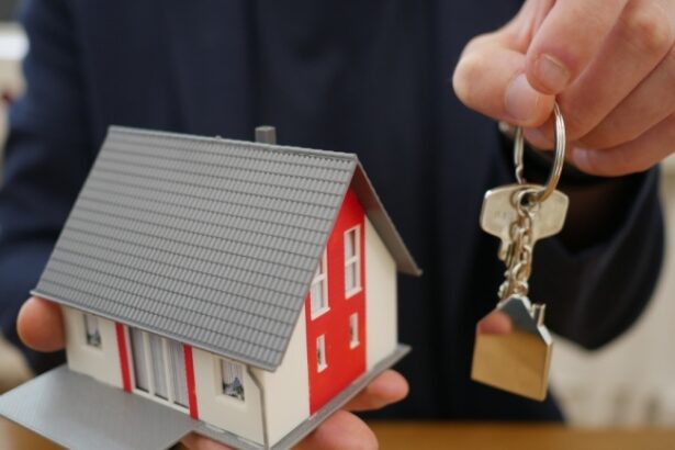 a fost aprobat plafonul de garantare pentru programul noua casa la 500 de milioane de lei 67d2cb0526ef2