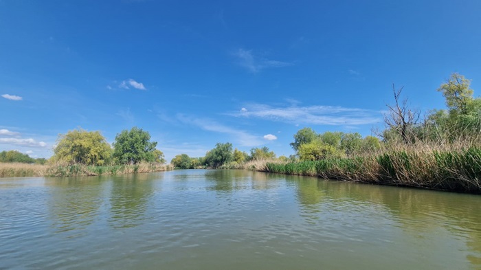 accident pe dunare a fost implicat remorcherul sf pavel date oficiale de la anr 67d97821a503a