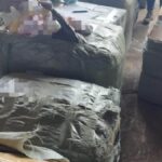 aproape 5 800 de jucarii contrafacute gasite in portul constanta 67e2b0e424b01