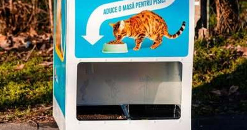 automatele care elibereaza mancare pentru pisici in schimbul reciclarii au asigurat 2 000 de portii de hrana in doua luni 67df96cdc8f2b