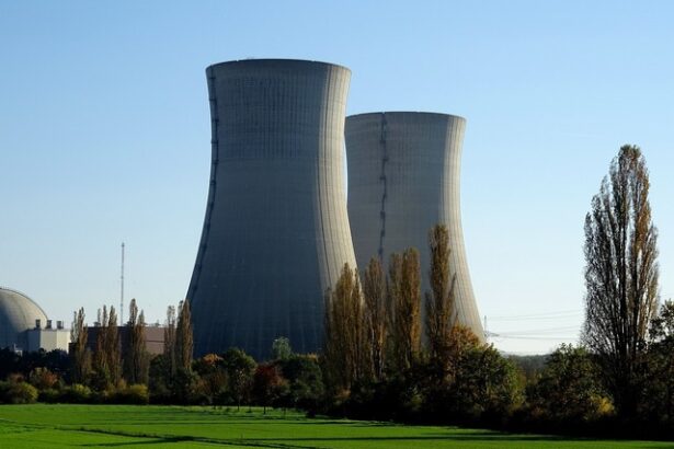 boom ul energiei nucleare aduce noi investitii situatia din germania dupa ce si a inchis toate reactoarele 67d4786177c22