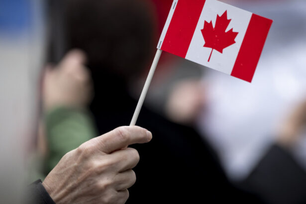 canada ii raspunde lui donald trump cu taxe de 25 pentru bunuri americane de 20 de miliarde de dolari ce produse vor fi afectate 67d1bbea87a2a