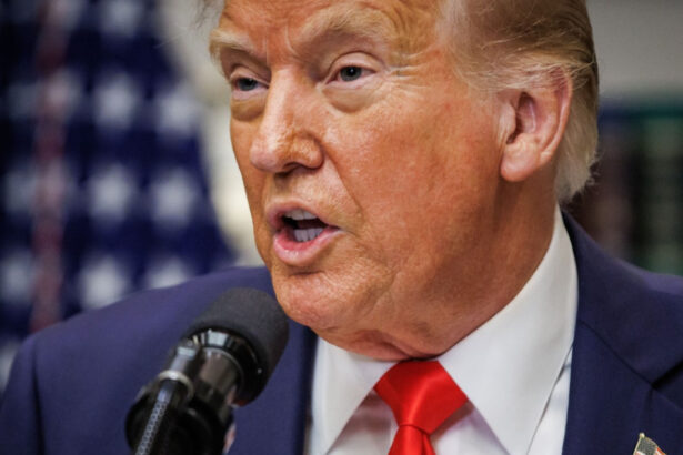 casa alba trebuie sa desemneze un presedinte de rezerva cat timp donald trump isi rosteste discursul in congres 67c7450c38f86