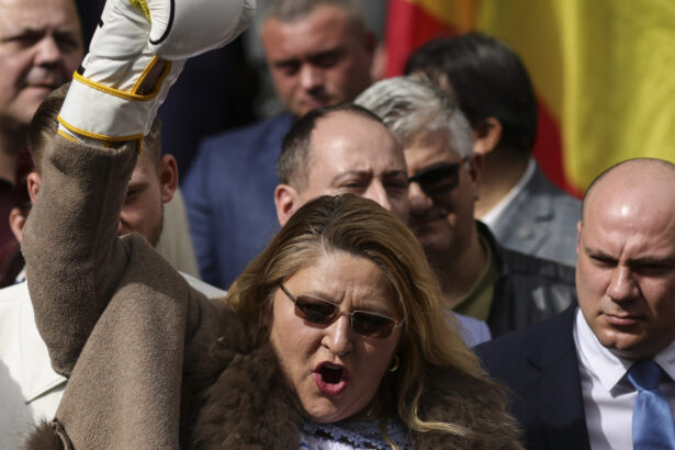 ccr discuta astazi doua contestatii la decizia bec de respingere a candidaturii dianei sosoaca la alegeri 67d7db6d1bc6a