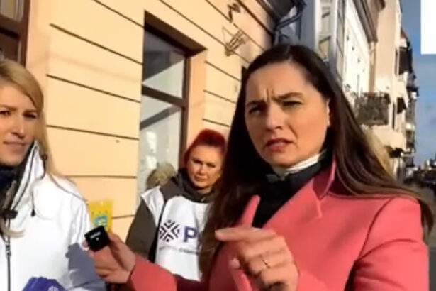 ccr discuta miercuri o contestatie la candidatura sefei pot gavrila acuzata de comportament extremist si instabilitate psihica 67d9480eaa777