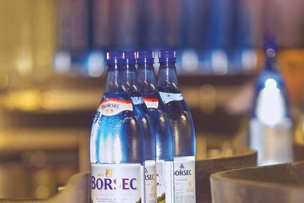 cel mai mare producator roman de bauturi a crescut in ultimii 10 ani de aproape trei ori radu lazaroiu director general in pragul a 220 ani de existenta 67dc9d4308d5a