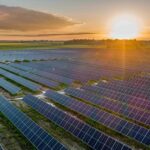 centrul agro transilvania a inceput construirea unui parc fotovoltaic ce va produce 613 000 kwh anual 67e415d2b4c90