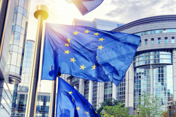 cererea grupurilor extremiste de a dezbate alegerile din romania in parlamentul european a fost respinsa anunta siegfried muresan 67cf37fe9640f