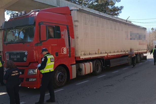 cetatean turc prins in portul constanta cu permis de conducere fals de catre politistii de frontiera 67e3e0fb64256