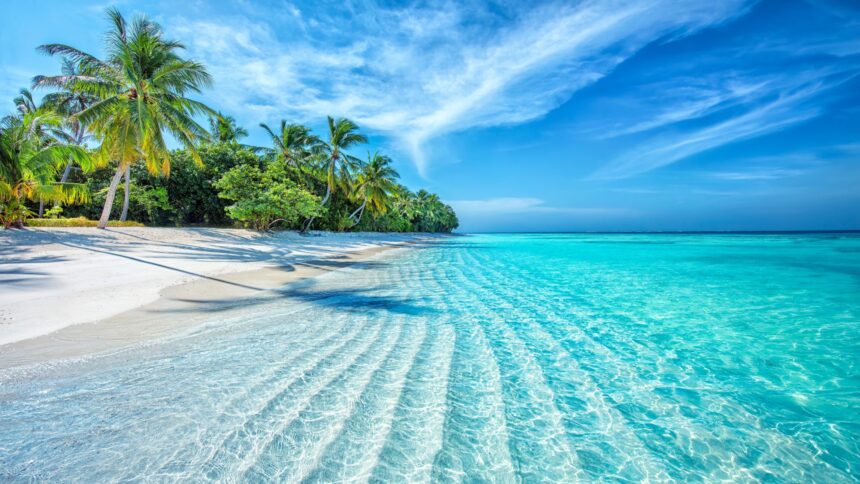 ceva miraculos se intampla in creierul uman atunci cand ne uitam la fotografii cu natura 67da8418e77ee