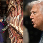 china a gasit apararea perfecta contra tarifelor vamale impuse de trump marele zid din carne de porc 67da57a170fcf