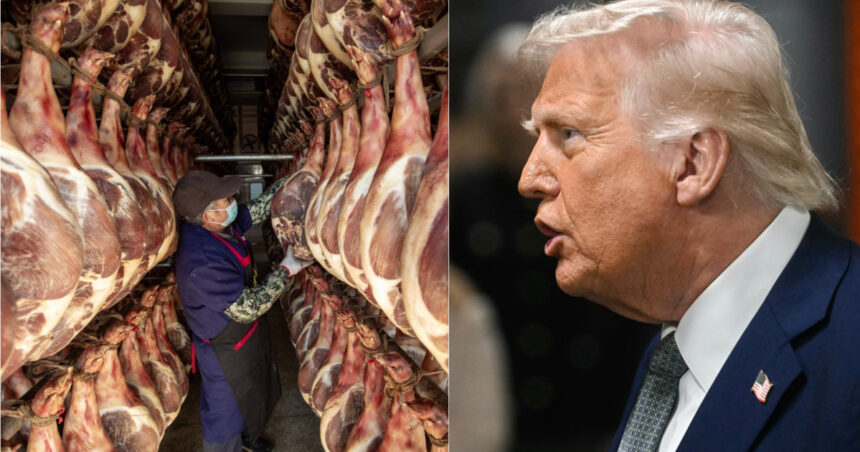china a gasit apararea perfecta contra tarifelor vamale impuse de trump marele zid din carne de porc 67da57a170fcf