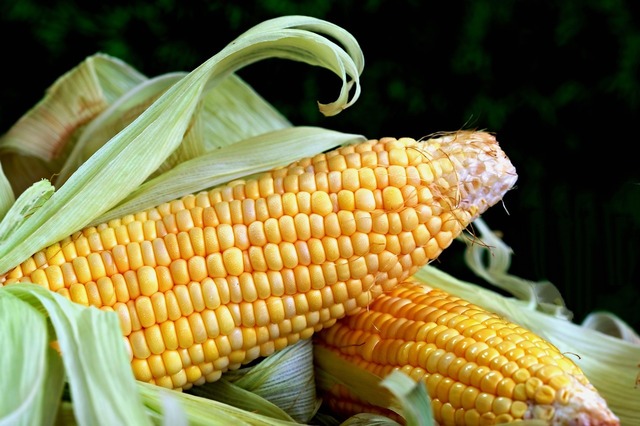 china va impune tarife vamale suplimentare pentru o serie de produse agricole americane 15 firme din sua plasate pe lista entitatilor considerate ca aduc atingere securitatii nationale si intereselo 67c6b23c005ed