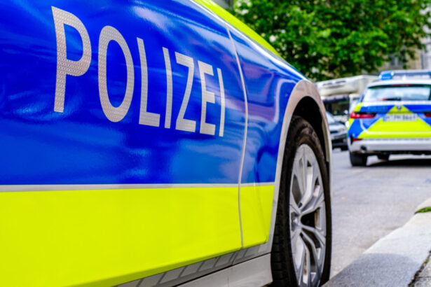 cinci extremisti condamnati la inchisoare in germania pentru ca puneau la cale rasturnarea guvernului 67ca97536f840