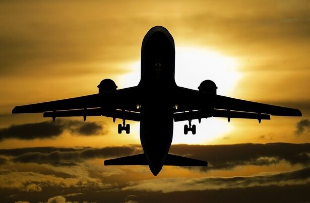 companiile aeriene americane se plang de scaderea cererii de calatorii agentiile guvernamentale au strans cureaua cheltuielilor sub trump 67e8eb25ef707