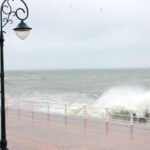 constanta sub cod galben de vant soferii sunt rugati sa nu parcheze in dreptul copacilor 67e51721cf475