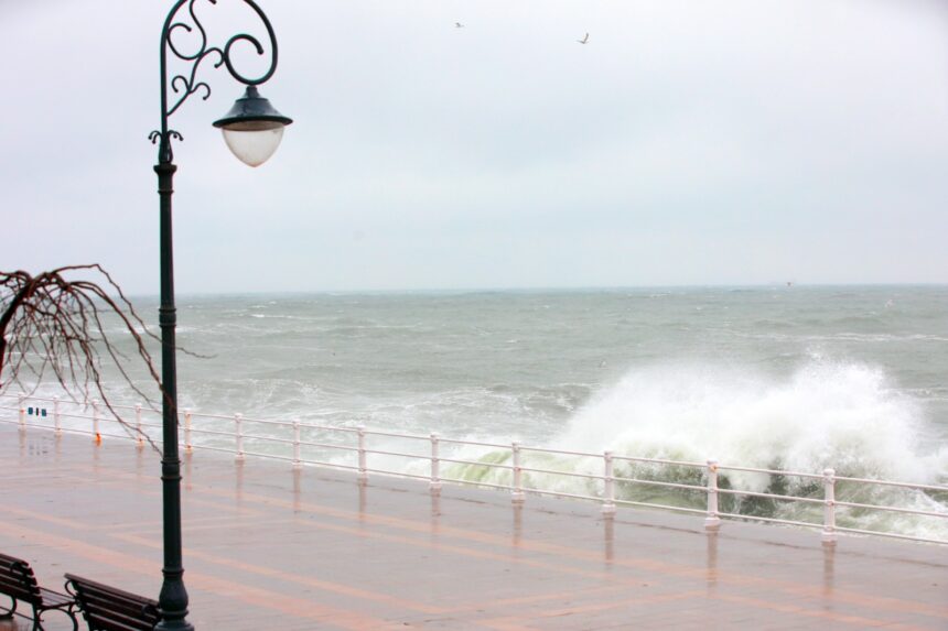 constanta sub cod galben de vant soferii sunt rugati sa nu parcheze in dreptul copacilor 67e51721cf475