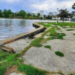 contractul de peste 5 milioane de euro pentru reabilitarea malurilor lacului tabacarie nu a fost atribuit nici acum 67ce1f9644f2c