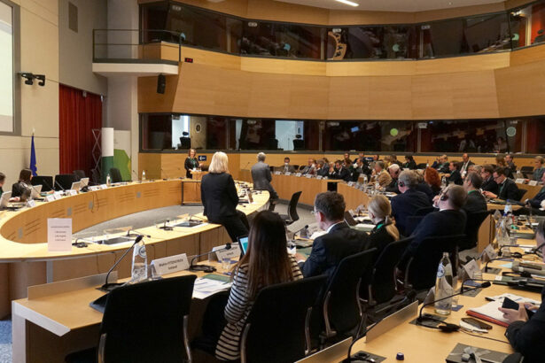 cu ce se ocupa curtea de conturi europeana institutia unde lucian romascanu a fost propus de romania 67daacdaa1510
