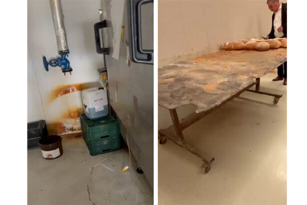 cui apartine sc gnf bakery products srl a carei activitate a fost oprita de protectia consumatorilor constanta in 2023 firma a rulat afaceri de 5 milioane de euro 67d475b05859f