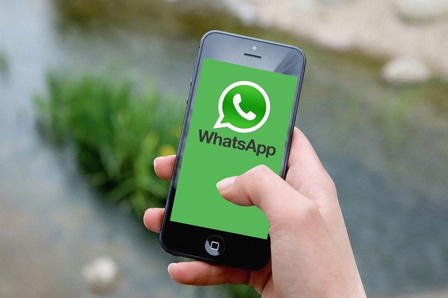 cum te asiguri ca mesajele trimise in masa nu sunt percepute ca spam pe whatsapp 67e8eea6aa890
