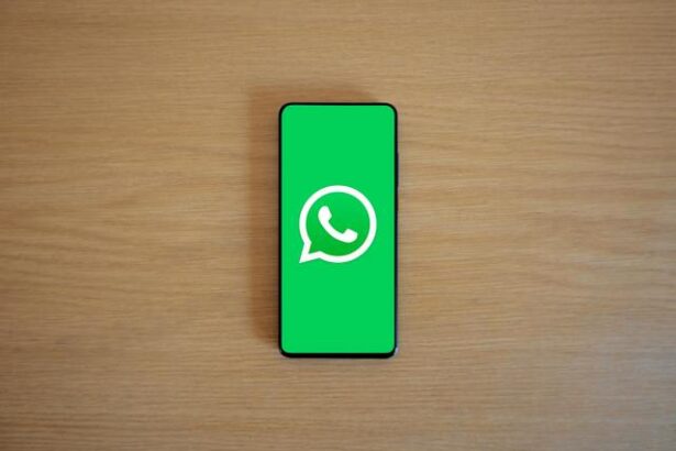 cum utilizezi etichetele labels din whatsapp business pentru a ti organiza vanzarile 67dbb8a981876