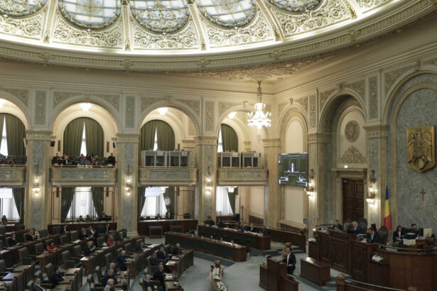 decizie luata in senat privind proiectul de lege care pedepseste soferii aflati la volan sub influenta substantelor psihoactive 67eacbcc03362