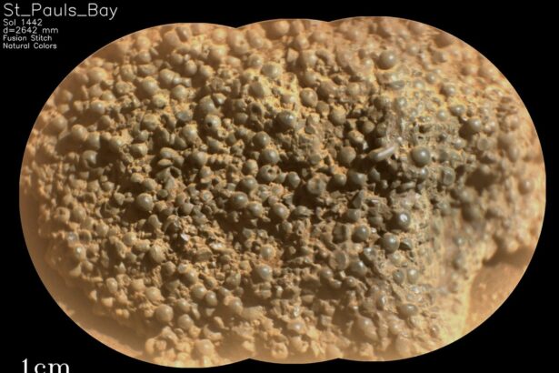 descoperire bizara pe marte ce a gasit roverul perseverance pe planeta rosie 67e7b281685e4