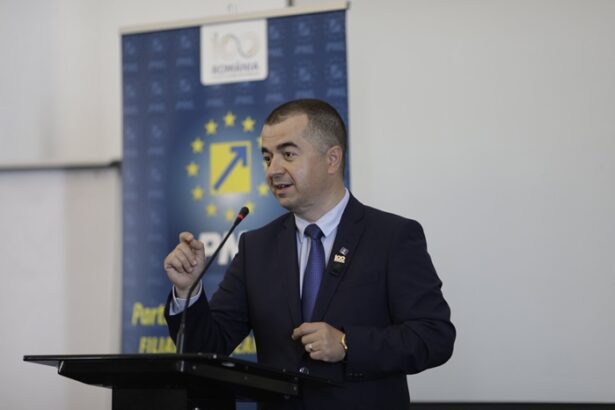 document ce pedeapsa ar putea primi azi stefan ilie primarul din tulcea care a facut acord de recunoastere a vinovatiei cu dna constanta 67c6849153771