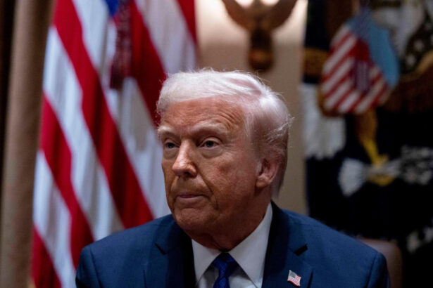 donald trump spune ca nu i pasa absolut deloc de posibila crestere a preturilor la masini in tara sa 67e8dbd04a962