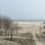 doua terenuri de 35 hectare din corbu detinute de elcomex aqua srl scoase la licitatie 67e8c544d7902