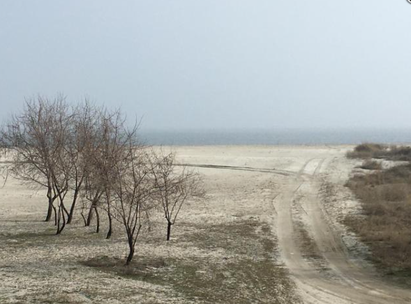 doua terenuri de 35 hectare din corbu detinute de elcomex aqua srl scoase la licitatie 67e8c544d7902