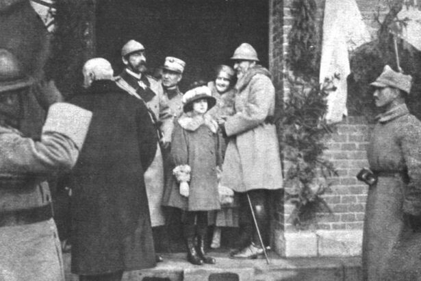 drama regelui ferdinand i razboiul si un ambasador francez cuvantul germania nu se gaseste in tratatul nostru de alianta cu romania 67e420ee32ae7