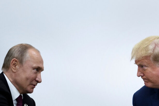exclusiv gosu faptul ca putin nu a acceptat neconditionat armistitiul din ucraina e o infrangere ce spune profesorul despre planul lui trump 67dac1d3c2933