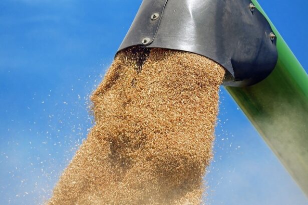 exporturile de cereale ale uniunii europen sunt in scadere puternica dar romania este cel mai mare exportator 67e3a5725f09f