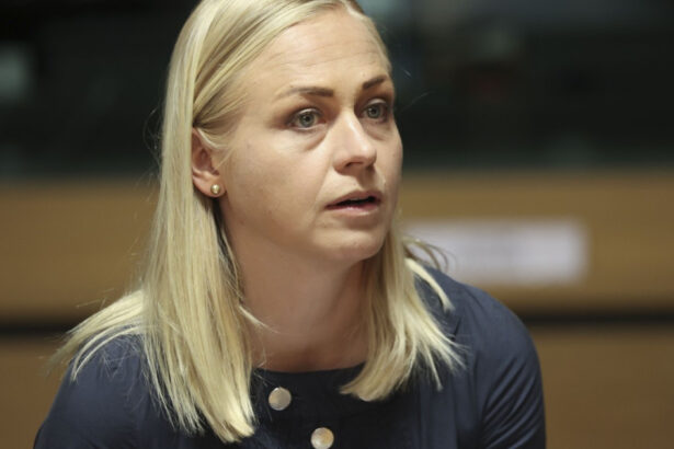 finlanda va face parte din coalitia bunavointei pentru ucraina a anuntat ministrul de externe de la helsinki 67d213e09435f
