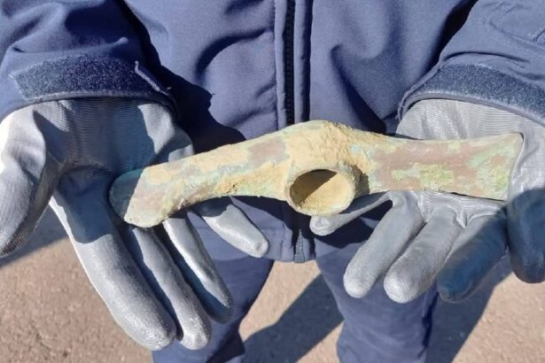 foto artefact mai vechi decat piramidele egiptene descoperit de un jandarm pasionat de istorie 67e113c5f3690