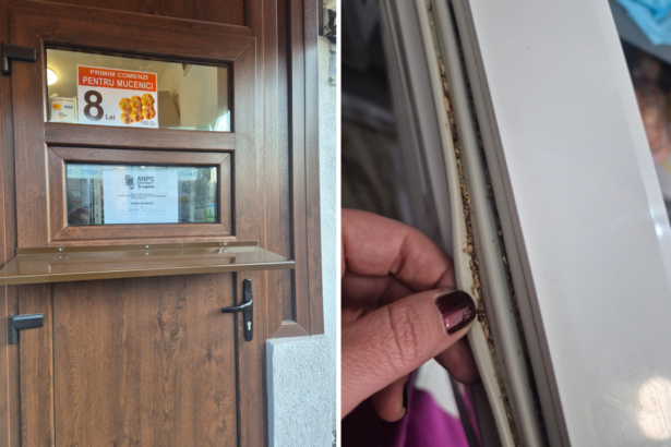 foto patiseria gix inchisa de comisarii de la protectia consumatorilor nereguli socante descoperite intr un control 67c72af5c4512