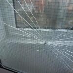 foto piedone a intrat cu amenzi in zeci de campusuri universitare voi cei care ati ales sa fiti iresponsabili sau nesimtiti veti suporta consecintele 67c2cc14365cc