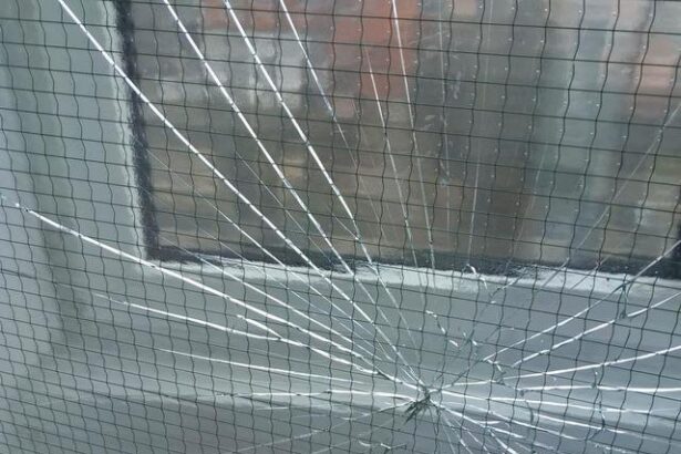 foto piedone a intrat cu amenzi in zeci de campusuri universitare voi cei care ati ales sa fiti iresponsabili sau nesimtiti veti suporta consecintele 67c2cc14365cc