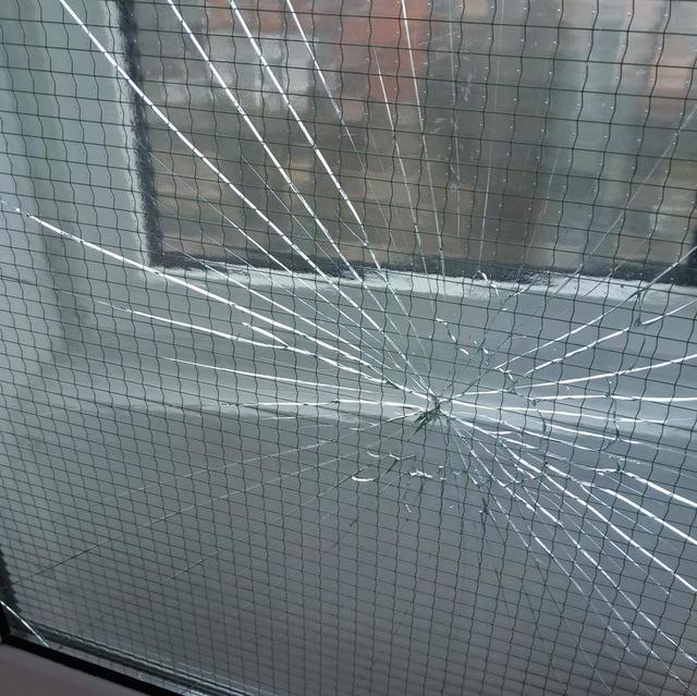 foto piedone a intrat cu amenzi in zeci de campusuri universitare voi cei care ati ales sa fiti iresponsabili sau nesimtiti veti suporta consecintele 67c2cc14365cc