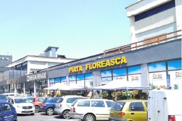 foto piedone a intrat in cea mai scumpa piata din bucuresti 67db170759177