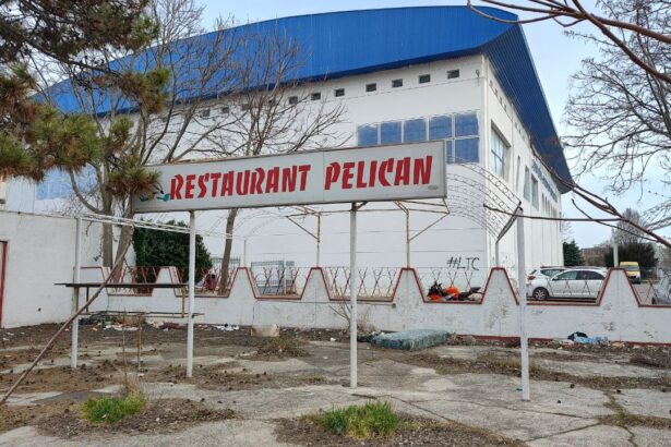 foto restaurantul pelican din saturn o ruina a trecutului va fi demolat dupa ce thr marea neagra a incercat sa il vanda de mai multe ori 67d27b6259773