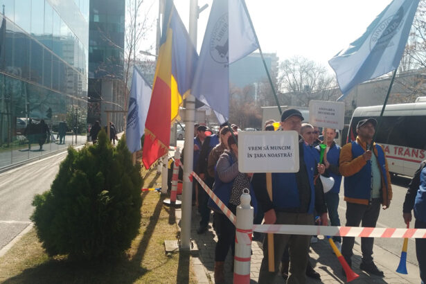foto video sindicalistii de la damen mangalia picheteaza ambasada olandei 67cac35a43bd6